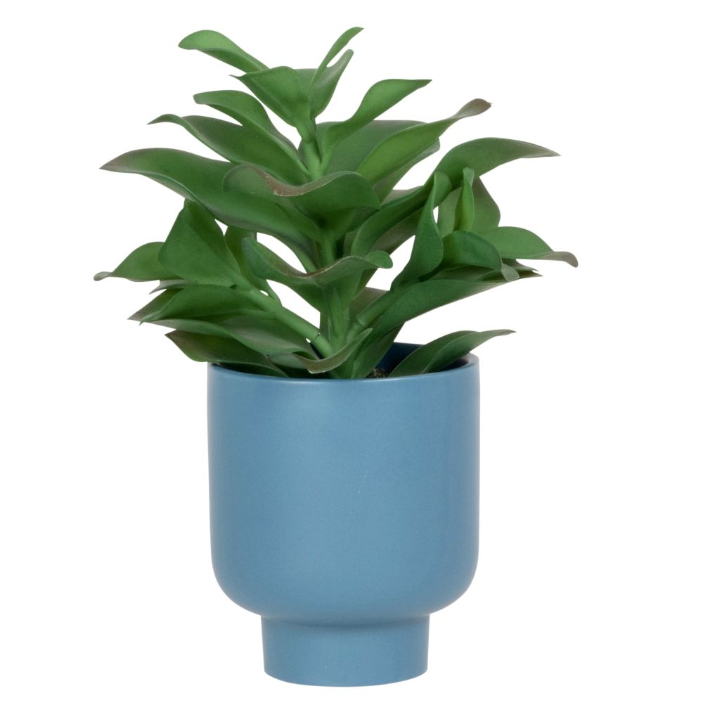 Succulente artificielle et pot en grès bleu