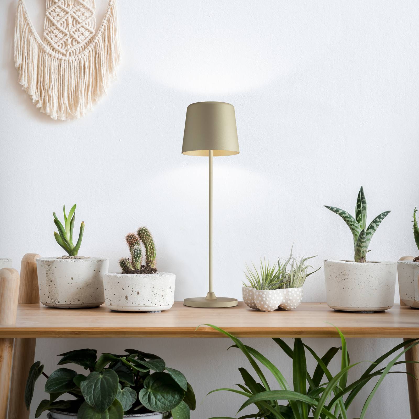 Brilliant Lampe à poser LED rechargeable Kaami