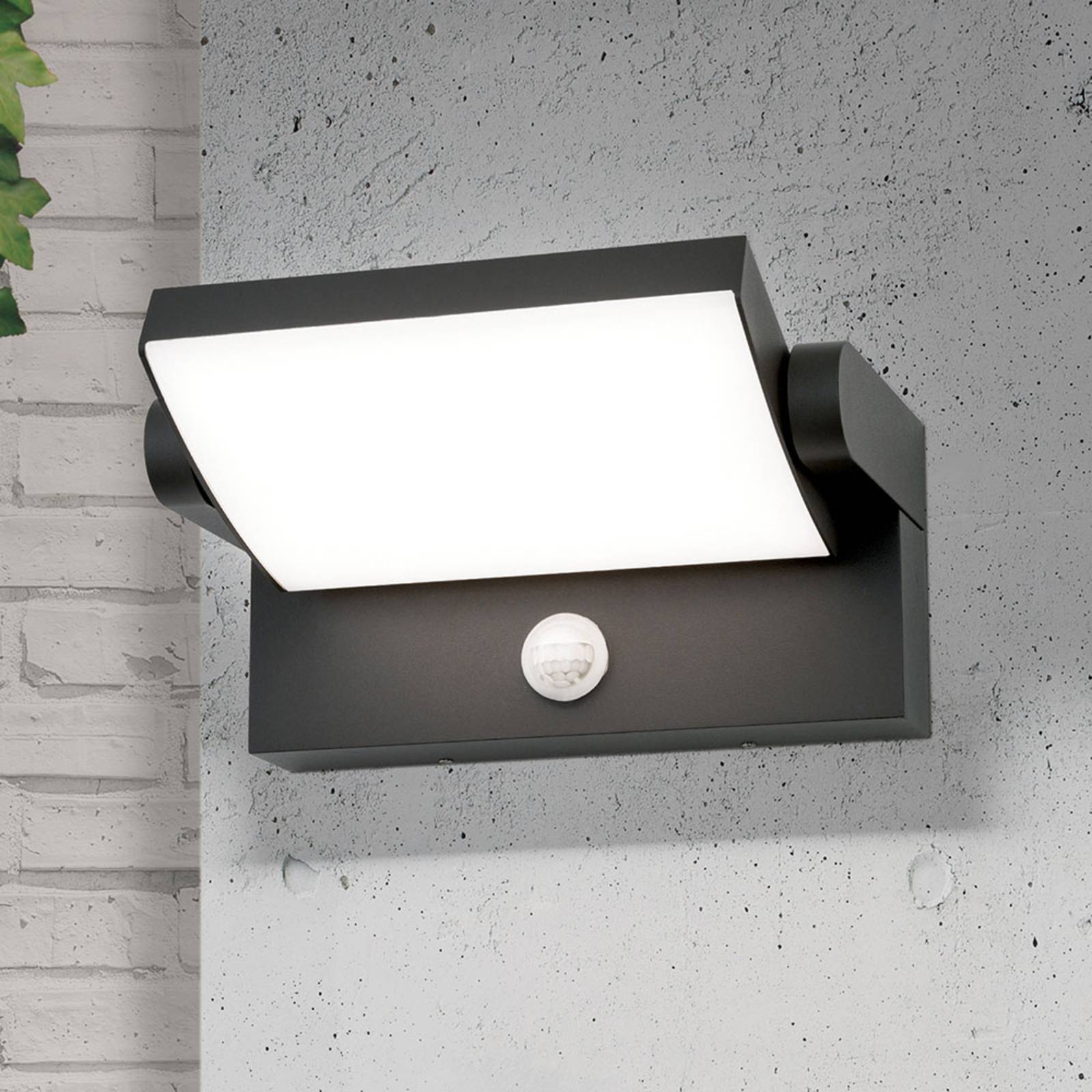 Orion Applique d'extérieur LED Ginger
